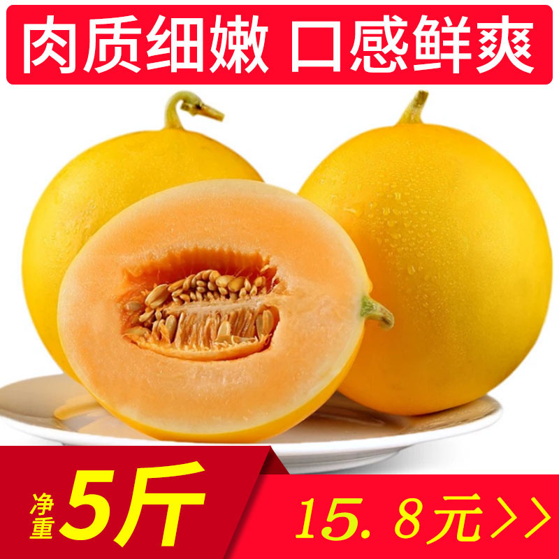 阎良甜瓜包邮现摘现发新鲜黄金蜜瓜香瓜毛重5净重5斤黄河密瓜