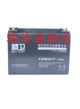 科华技术（KELONG）6-GFM-24-YT 精卫免维护UPS蓄电池12V24AH电瓶