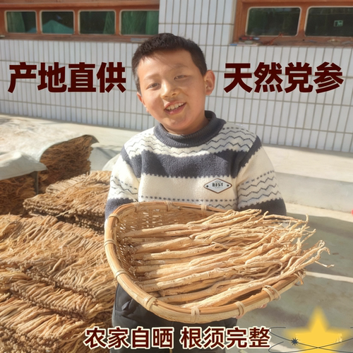甘肃岷县农家党参条无硫干货 自种原色煲汤泡水滋补食材 产地直发