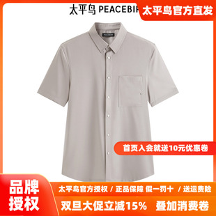 潮 太平鸟男装 百搭肌理衬衫 新款 B1CCE2418 衬衫
