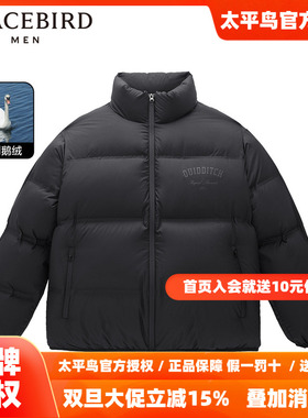 【哈利波特联名】太平鸟男装2025年冬季新款立领羽绒服B1ACD4426