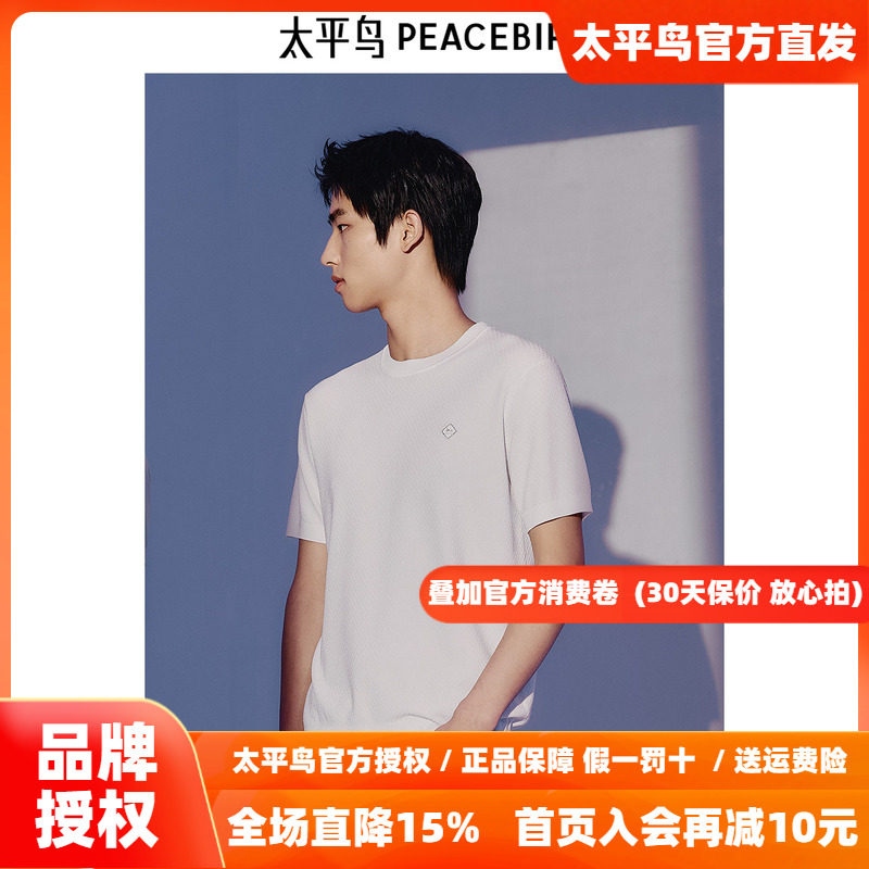 太平鸟男装针织短袖T恤秋季新款刺绣体恤B1EEE21