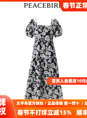 【商场同款】太平鸟女装2025年秋季新款纹样度假连衣裙A1FAD2E03