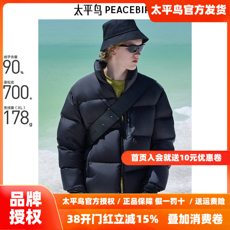 【商场同款】太平鸟男装 2025年冬季黑色鹅绒羽绒服B1ACE4447