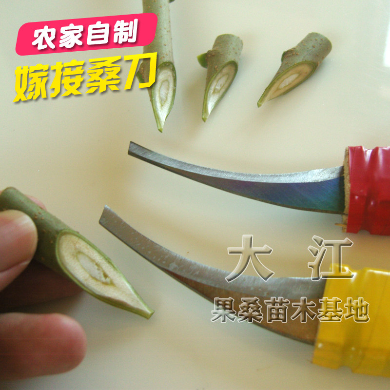农家自制锋钢嫁接桑树刀芽接刀可用于园艺各类果树嫁接刀经久耐用