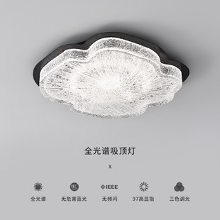 意式 设计师树脂护眼主卧房间吸顶灯 极简轻奢卧室灯高级感2025新款