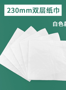 稻田230双层加厚餐巾纸白色环保定制270双层咖啡餐饮用纸6000张