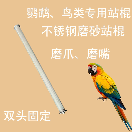 星斗304不锈钢鹦鹉鸟站杆