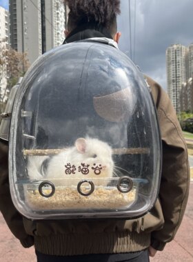 龙猫外带书包遛弯短途旅游方便