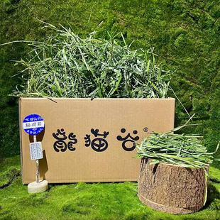 烘干脱水龙猫爱吃 净750g大容量 2025年提摩西草 二番全叶南提