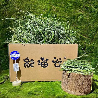 24年龙猫谷的全叶提摩西草 食用率高 净重500克 本年新出烘干小宠