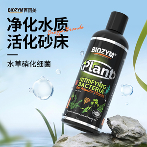 水草硝化细菌百因美活化砂床