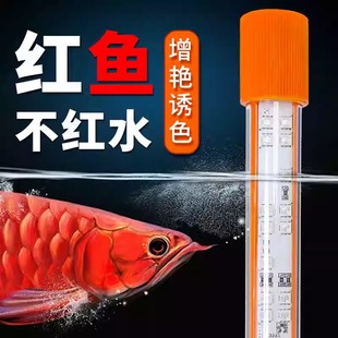 一方阿拉丁神灯观赏鱼增艳诱色龙鱼灯水族箱高度防水照明观赏灯