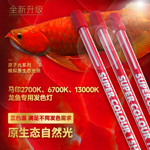 马印灯龙鱼发色灯专用烤色灯nec鱼缸灯三基色灯管T5潜水灯全光谱