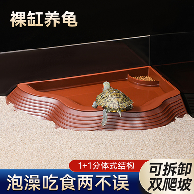 黄缘龟专用水盆食盆分体式半水龟乌龟喝水洗澡爬宠饲养箱造景