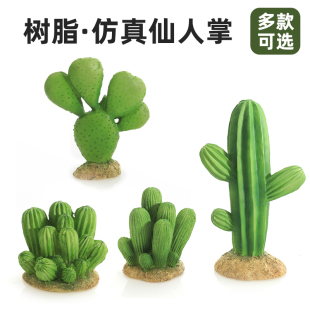 仿真植物仙人掌沙盘鱼缸造景地台微景观沙漠植物模型实心手办摆件
