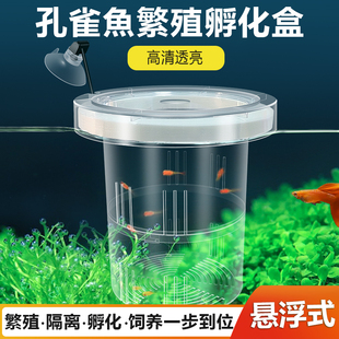 盛科析鱼缸孔雀鱼隔离盒繁殖孵化盒小鱼繁殖隔离盒漂浮式鱼苗产房