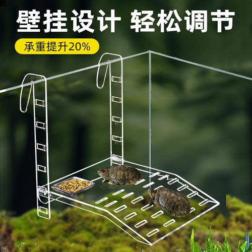 乌龟晒台爬台亚克力挂钩