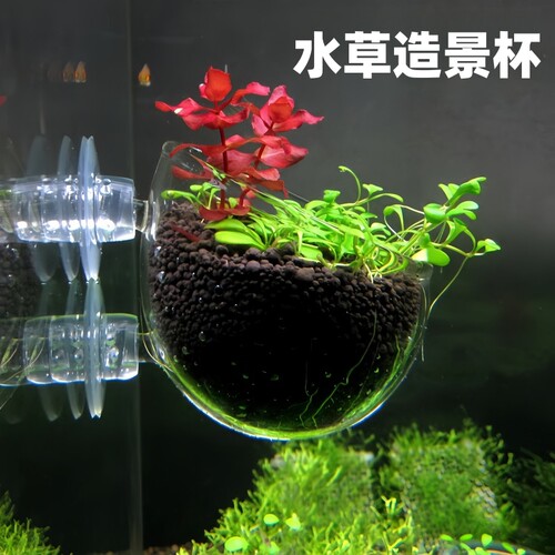 水草造景杯水晶玻璃装饰效果好