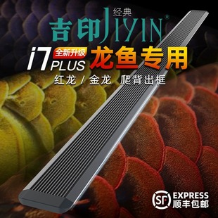 吉印龙鱼专用灯红龙鱼烤色发色灯金龙观赏鱼缸增艳增色rgb专业灯