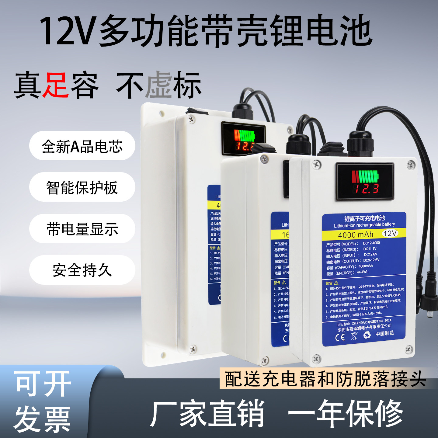 12V聚合物锂电池防水户外充电