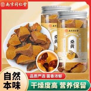 南京同仁堂桑黄正宗西藏桑黄中药材纯天然金边桑黄泡水食药用菌类