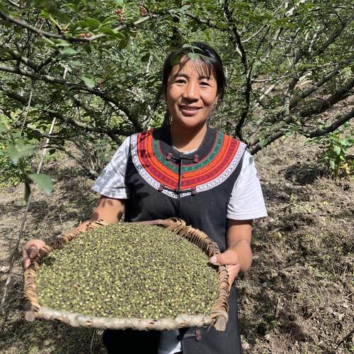 大凉山青干花椒250克
