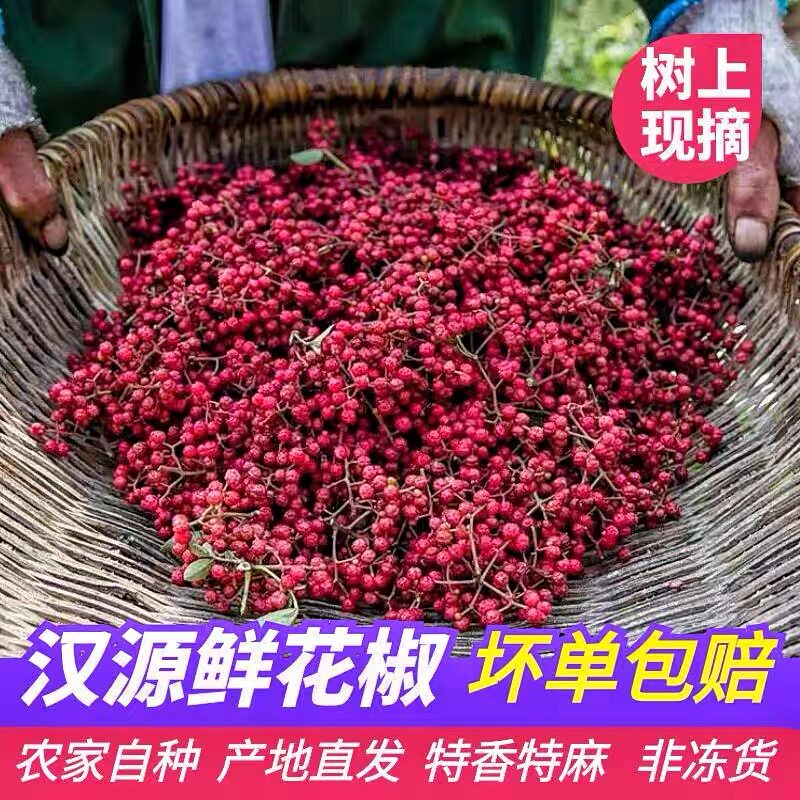 2026新鲜生花椒汉源红花椒娃娃椒贡椒大红袍湿花椒特麻香现摘现发