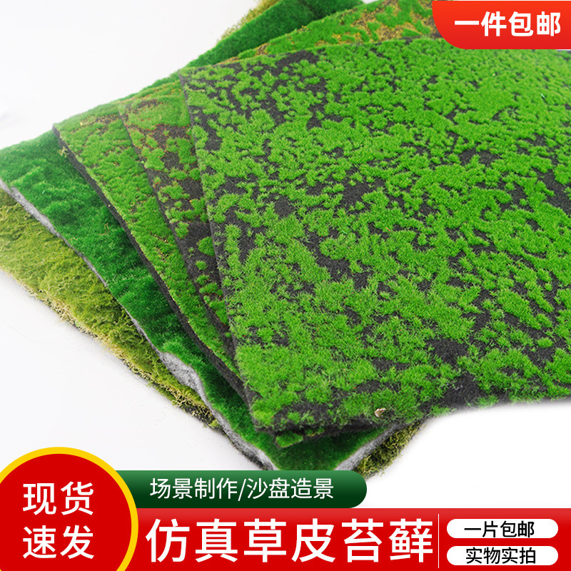 沙盘建筑模型材料diy手工绿色青苔植物墙草坪微景观草皮仿真苔藓
