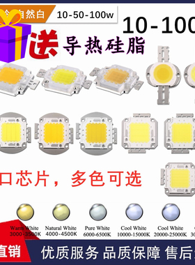 10-100W方形椭圆白光暖白中性白冷白自然白LED灯珠30V12V晶元普瑞