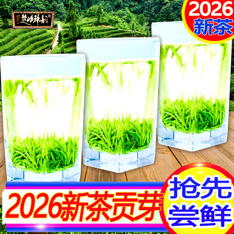 2026年新茶湖北宜昌五峰高山芽毛尖头采嫩芽茶绿茶明前早春茶叶