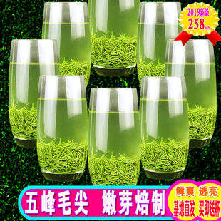 五峰芽毛尖图片素材