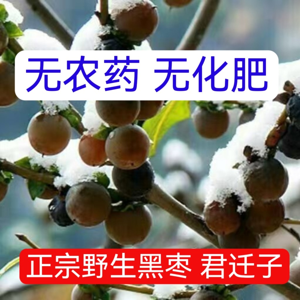 原生态黑枣特级新货君迁子药用500克野生大黑枣干货多核天然黑枣