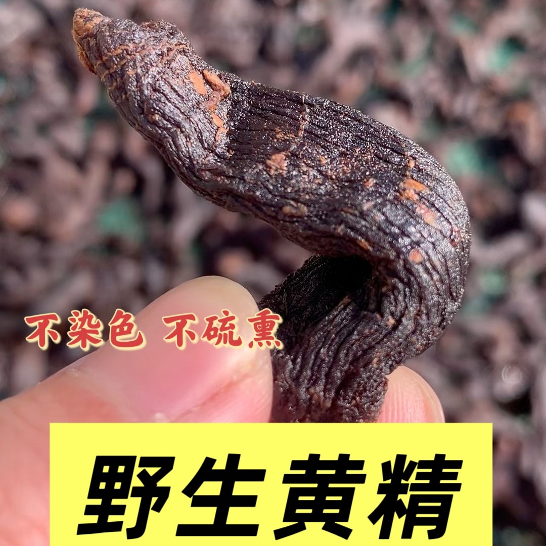 深山采挖无添加剂正宗特级野生黄精九蒸九晒整个不掺假黄精茶