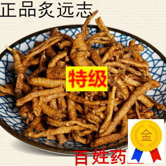 新品原料野生炙远志中药材