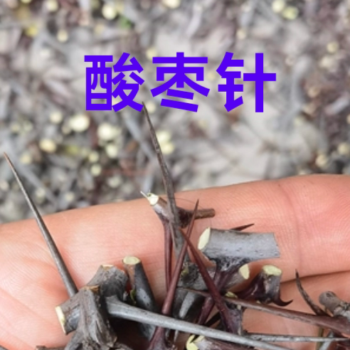 枣刺酸枣刺 现摘酸枣树刺 酸枣针太行山酸枣刺酸枣树枝50g葛针