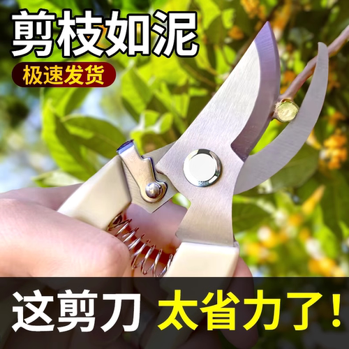 剪枝果树修枝剪刀园艺园林修花枝剪家用强力神器花剪剪枝花卉剪刀