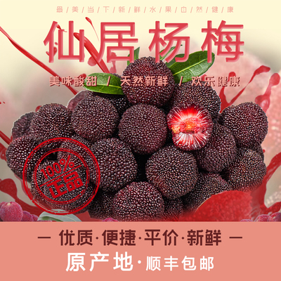 2025年新鲜仙居杨梅东魁产地直发