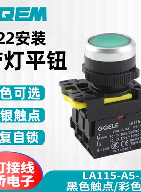 高桥GQELE22mm防水带灯自锁复位平头钮按钮一常开闭AL115-A5-11D