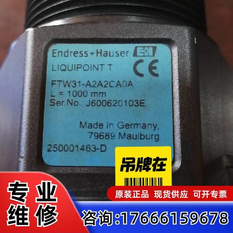 议价E+H  FTW31-A2A2CA0A 电导棒这是新的适用