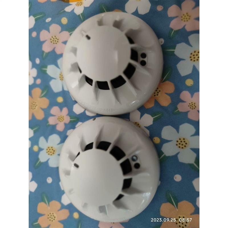 议价泰科851ph 516.850.055全新拍前先议价