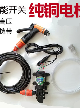 车载家用高压洗车12V 220V电动洗车器微小型水泵洗车机清洗水枪