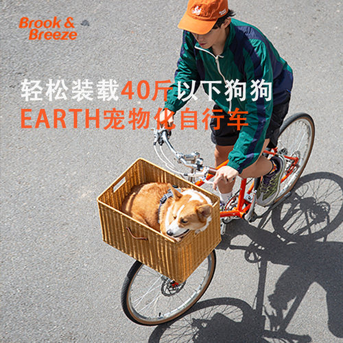 宠物出行自行车城市通勤复古高端