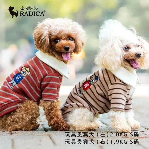 Radica秋冬装条纹绒衫翻领T恤暖