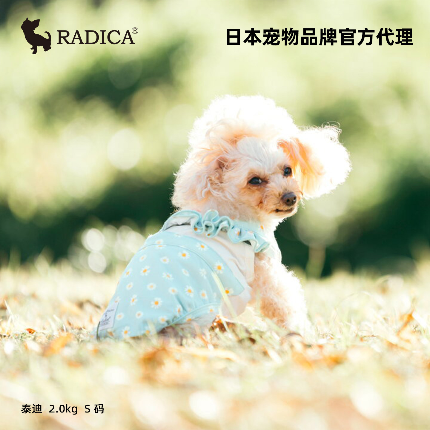 radica春夏装冷感防蚊宠物凉凉衣