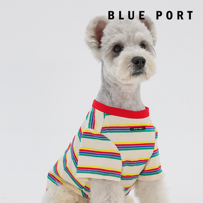 blueport犬猫通用彩条短袖T恤