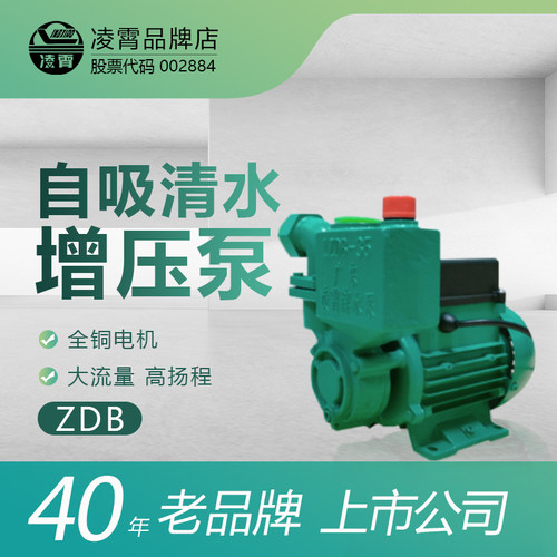凌霄大流量自吸清水增压泵