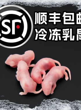 顺丰包邮冷冻乳鼠小白鼠喂蛇角蛙类爬宠龟猫粮饲料老鼠耗子红粉皮