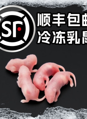 顺丰包邮冷冻乳鼠小白鼠喂蛇角蛙类爬宠龟猫粮饲料老鼠耗子红粉皮