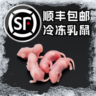 顺丰包邮冷冻乳鼠小白鼠喂蛇角蛙类爬宠龟猫粮饲料老鼠耗子红粉皮